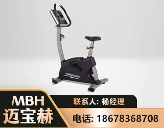 锡林郭勒立式健身车